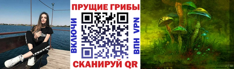 Псилоцибиновые грибы мухоморы  где можно купить наркотик  Воронеж 
